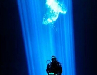  Cenote diving expedition 